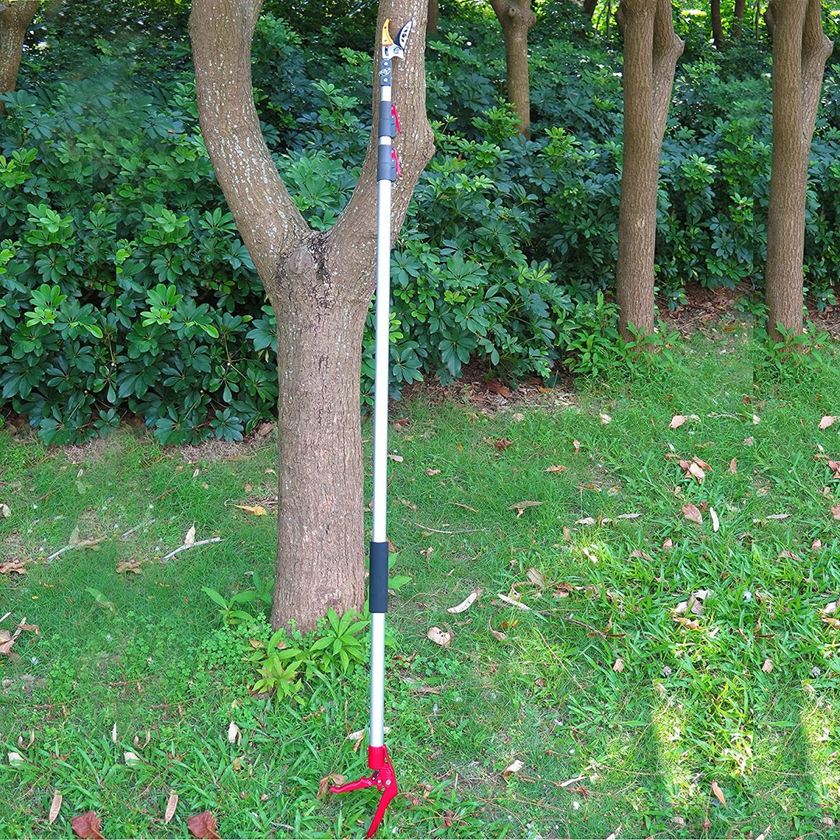 6ft Tree Pruner, Pruning Cutter, Fixed Long Reach Pole Pruner, Telescopic Fruit Picker, Cutting Stems, Light Branches of Trees, Rose Bush, Fruit, Shrubs, and Hedges For Garden with 2 inch Head