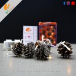 10 LEDS Warm White String Light Autumn Cones with IP4 Waterproof