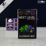 Next Level - Premium Hookah Tobacco Blueberry Mint Flavour - 50 Gram